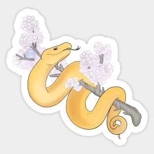 White Sakura Viper: Yellow Sticker